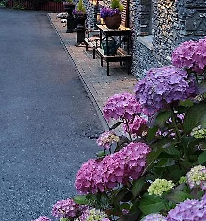 Bed & Breakfast Driftwood Kenmare